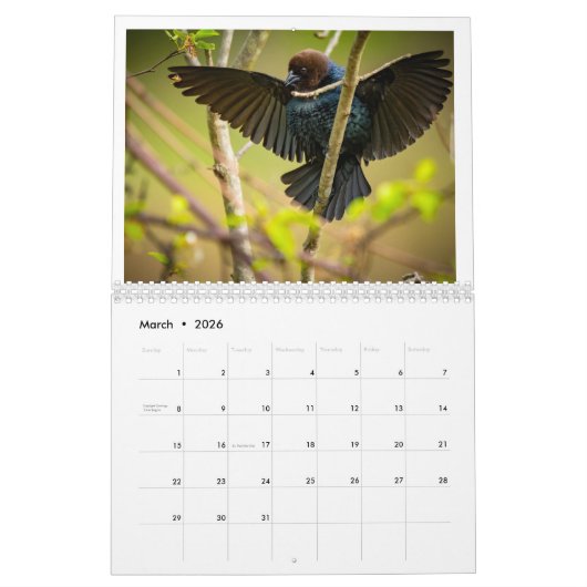 Agenda Kalender (Mar 2026)