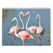 Agenda Kalender (Hoes)