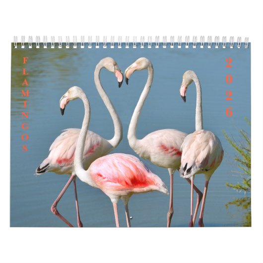 Agenda Kalender (Hoes)