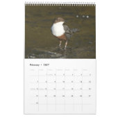 Agenda Kalender (Feb 2027)