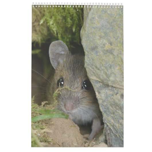 Agenda Kalender (Achterkant)