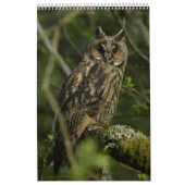 Agenda Kalender (Hoes)