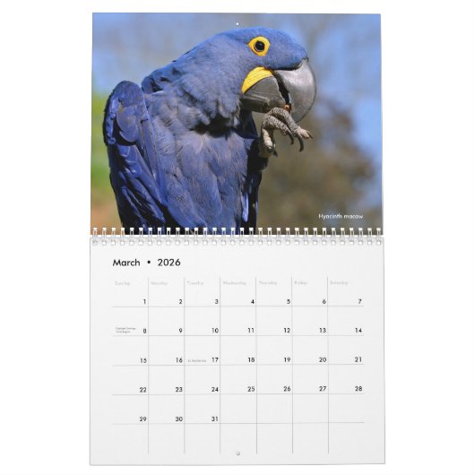 Agenda Kalender (Mar 2026)