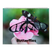 Agenda Kalender (Hoes)