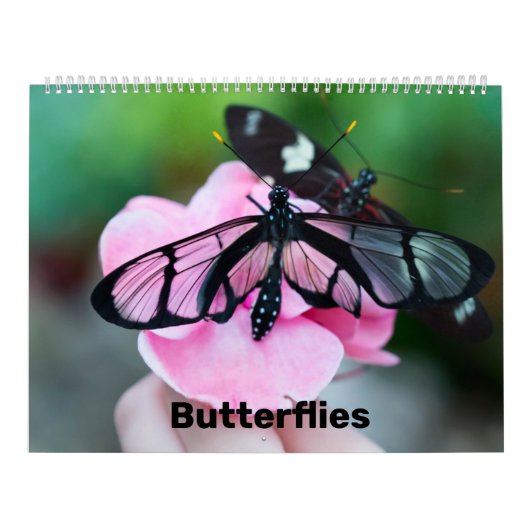 Agenda Kalender (Hoes)