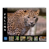 Agenda Kalender (Hoes)