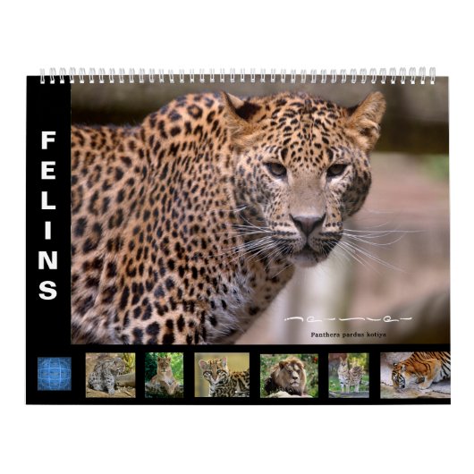 Agenda Kalender (Hoes)