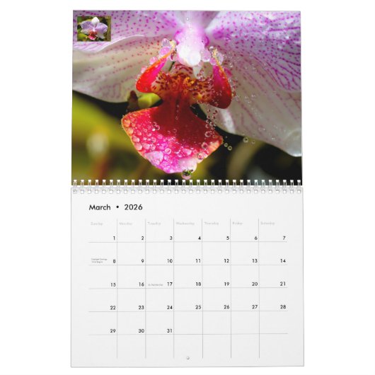 Agenda Kalender (Mar 2026)