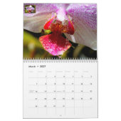 Agenda Kalender (Mar 2027)