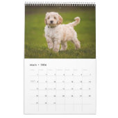 Agenda Kalender (Mar 2026)