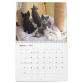 Agenda Kalender (Feb 2027)