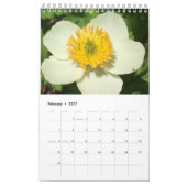 Agenda Kalender (Feb 2027)