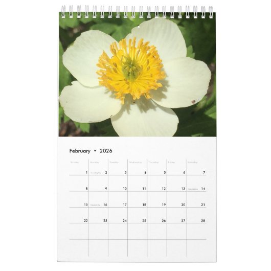 Agenda Kalender (Feb 2026)