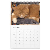 Agenda Kalender (Mar 2026)