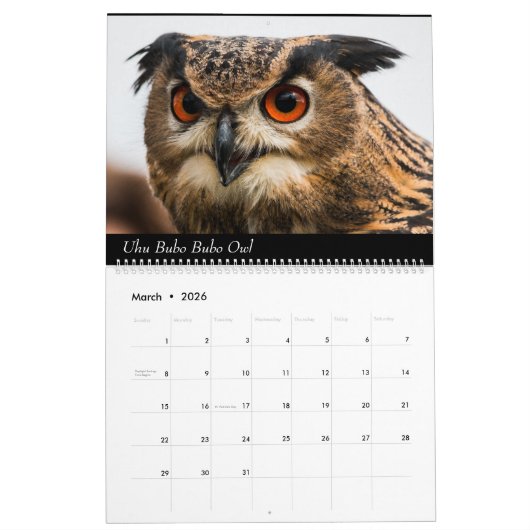 Agenda Kalender (Mar 2026)