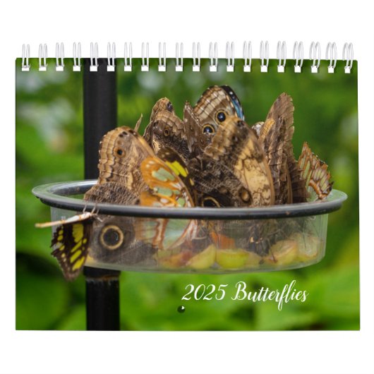 Agenda Kalender (Hoes)