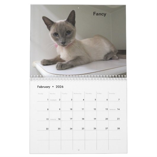 Agenda Kalender (Feb 2026)