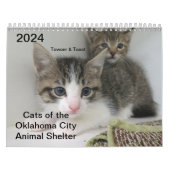 Agenda Kalender (Hoes)