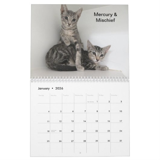 Agenda Kalender (Jan 2026)