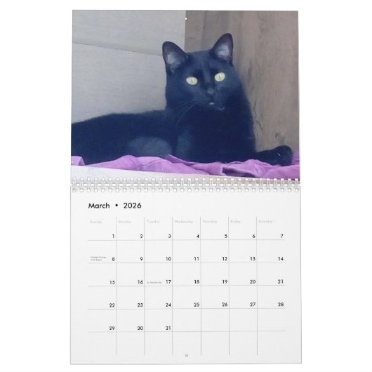 Agenda Kalender (Mar 2026)