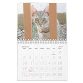 Agenda - Katten Kalender (Jan 2027)