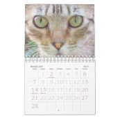 Agenda - Katten Kalender (Feb 2027)