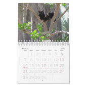 Agenda - Katten Kalender (Mar 2027)