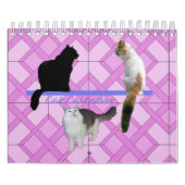 Agenda - Katten Kalender (Hoes)
