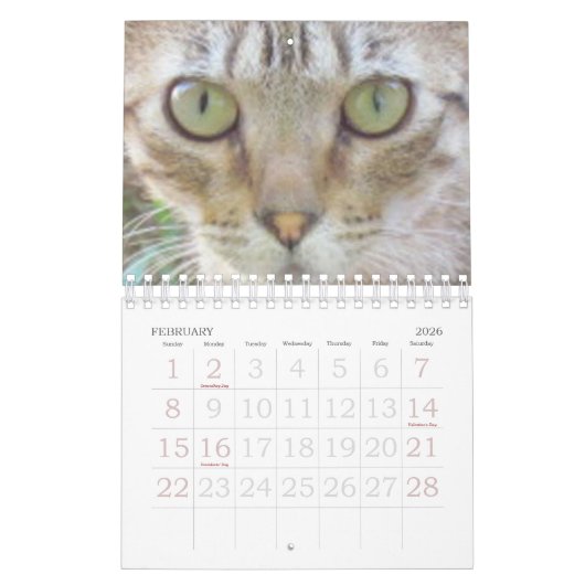 Agenda - Katten Kalender (Feb 2026)