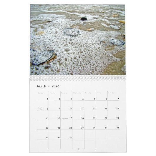 Agenda - Kustscènes Kalender (Mar 2026)