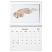 Agenda mack & Friends 2010 Kalender (Feb 2027)