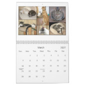 Agenda mack & Friends 2010 Kalender (Mar 2027)