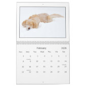 Agenda mack & Friends 2010 Kalender (Feb 2026)