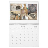 Agenda mack & Friends 2010 Kalender (Mar 2026)