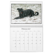 Agenda mack & Friends 2012 Kalender (Feb 2027)