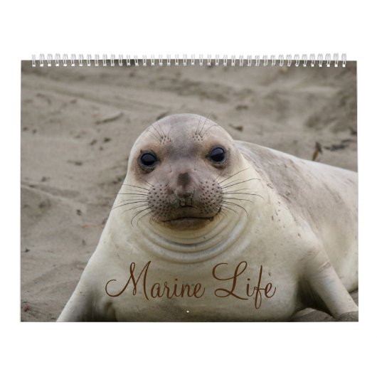 Agenda mariene levenskalender kalender (Hoes)