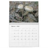 Agenda - Meer prachtige paddenstoelen Kalender (Feb 2026)