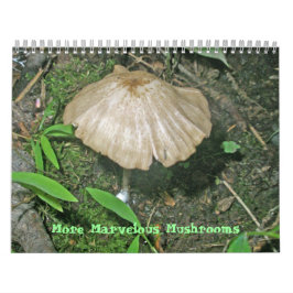 Agenda - Meer prachtige paddenstoelen Kalender