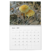 Agenda - Meer prachtige paddenstoelen Kalender (Mar 2027)