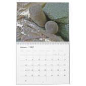Agenda - Meer prachtige paddenstoelen Kalender (Jan 2027)