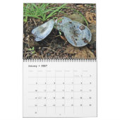Agenda - Meestal blauw Kalender (Jan 2027)