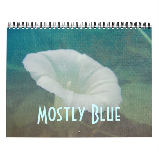 Agenda - Meestal blauw Kalender (Hoes)