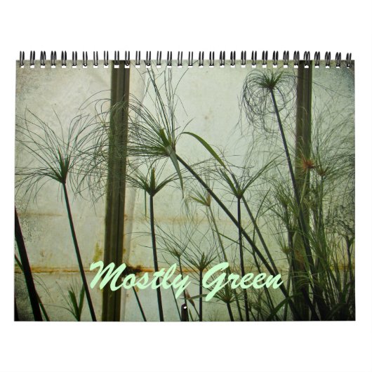 Agenda - Meestal groen Kalender (Hoes)