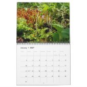 Agenda - Meestal groen Kalender (Jan 2027)