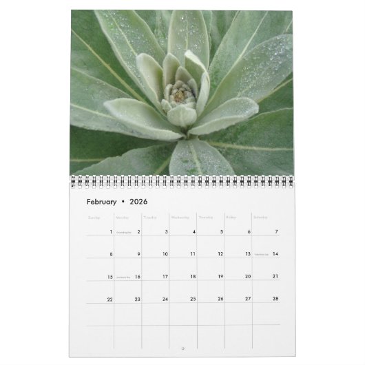 Agenda - Meestal groen Kalender (Feb 2026)