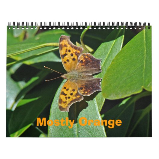 Agenda - Meestal Oranje Kalender (Hoes)