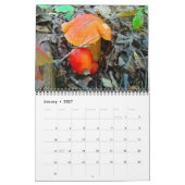 Agenda - Meestal Oranje Kalender (Jan 2027)