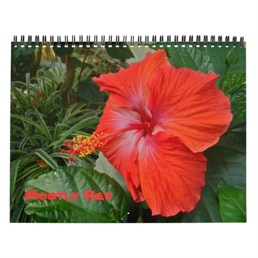 Agenda - Meestal rood Kalender (Hoes)