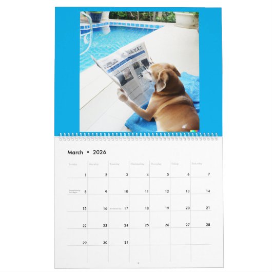 Agenda met afbeeldingen kalender (Mar 2026)