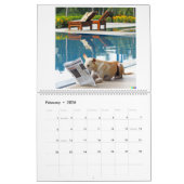 Agenda met afbeeldingen kalender (Feb 2026)